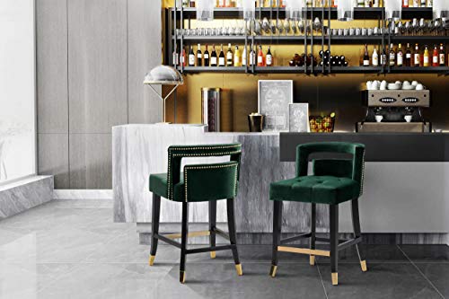 Iconic Home Irithel Counter Stool Chair Velvet Upholstered Nailhead Trim Half Back Seat Design Tone Footrest Bar Gold Tip Tapered Wood Legs Modern Transitional, Green #TOP5