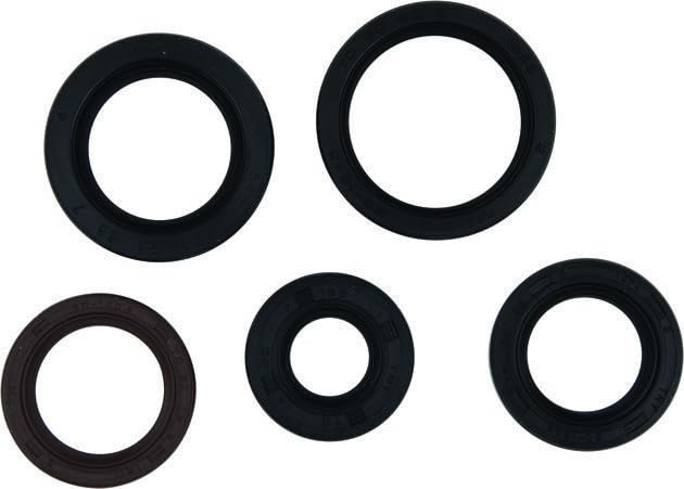 ATV&UTV Replace Parts & Accessories for Vertex-Winderosa Engine Oil Seal Kit for Polaris Phoenix 200 for RZR 170 for Sawtooth 200 Mod-BBM45-FV9608