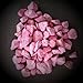 Produktbild Orchideengranulat Farbig 1 Liter in 4-8 mm "Rosa" Patentiert | Hemmt Schimmel | Düngt | Kein Ungeziefer im Boden |