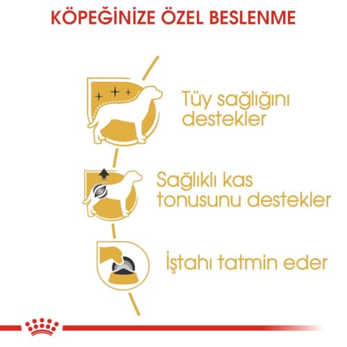 Royal Canin Poodle Adult | 12 x 85 g | Nassfutter für ausgewachsene und ältere Pudel | Ab dem 10. Lebensmonat | Zur Unterstützung des Fells | Mit Einer schmackhaften Textur