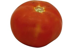 Tasty Tomato: Vine Ripe Delicacy