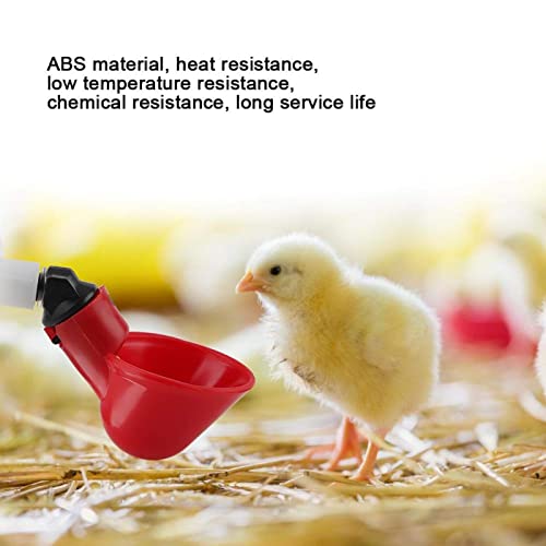 Oumefar 5 PCS Pollame Acqua Bicchieri per Bere