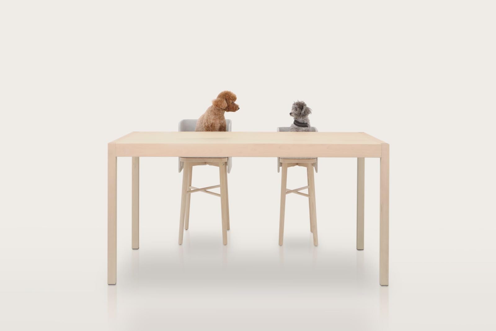 Amazon.co.jp: f&f ペットダイニングチェアー Mサイズ ブルーグリーン