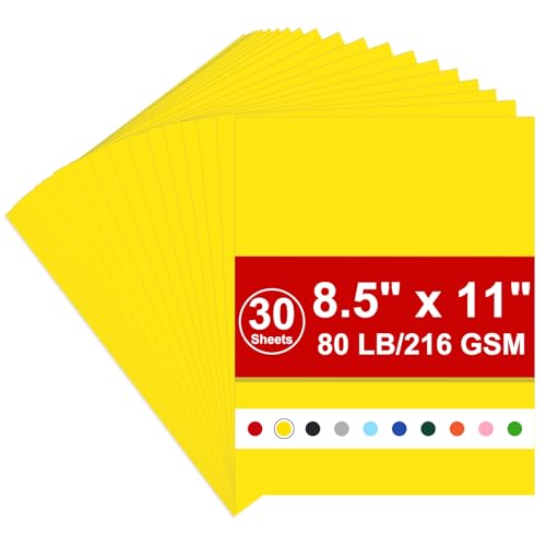 J[hXgbN 8.5 x 11A216gsm Jo[ J[hXgbN CG[A80|h CfbNXJ[hXgbNy[p[Awr[Rs[J[hXgbN v^[AXNbvubNANX}Xp(CG[J[hXgbNA30)