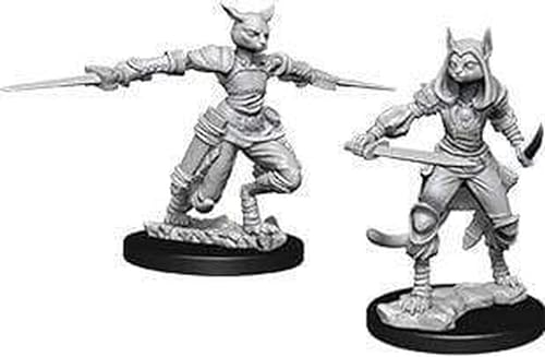 D&D Nolzurs figurines non peintes : vague 9 Tabaxi Rogue femelle