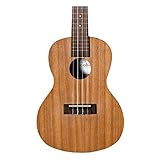 Cordoba UP100 Ukulele Pack Concert Ukulele Starter Pack