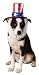 Rubie's Costume Co Uncle Sam Hat with Beard for Pets, Medium/Large