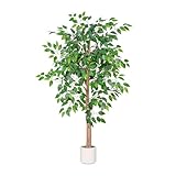 Arborvigro Artificial Ficus Tree 6FT Tall, Faux Ficus Tree Indoor Outdoor, Fake Silk Ficus Plant with Planter, Lifelike Leaves Large Potted Floor Tree for Home Office Living Room Porch Decor