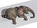 Baby Elephant Laying Down Lounging Shelf Sitter 4