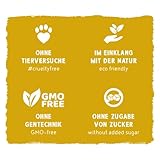 Bosch Freshe Schnauze, Huhn mit Kürbis und Brokkoli 8 x 250 g, Schonend Dampfgegartes Nassfutter für Hunde, Vollwertiges Alleinfuttermittel mit hohem Fleischgehalt, 8 x 250 g Hundenassfutter