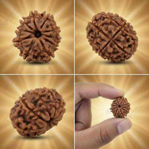 Image of Arihant Gems & Jewels Natural 10 Mukhi Nepali Rudraksha - Certified, Unisex Spiritual Bead for Men & Women | Positive Energy & Astrological Benefits