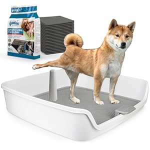 ALL FOR PAWS Pee Pad Holder, XL Dog Litter Box, Puppy Pads Holder, Puppy Potty Tray for Small/Medium/Large Dog Potty Training, 25″ x 25″