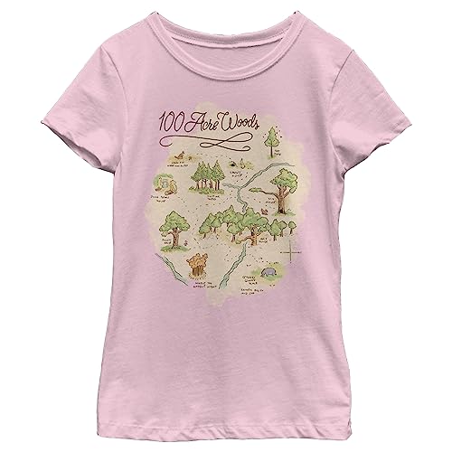 Disney Winnie The Pooh 100 Acre Map Girl's Solid Crew Tee