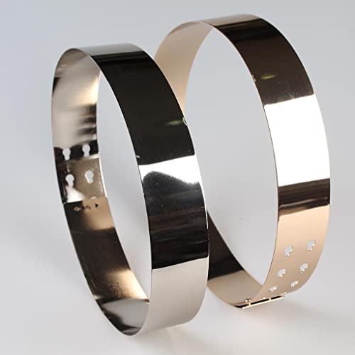 jojomis Women's Adjustable Waist Belt with Mirror Finish Metal Plate Retro Chic Dress Accessory- 76 x 3 cm Silver2