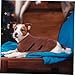 BESPORTBLE Pet Bathrobe for Dogs and Cats Absorbent Towel Drying Robe Quick-Dry Grooming Wrap for All and Fit for Pet Cleaning and Bathing