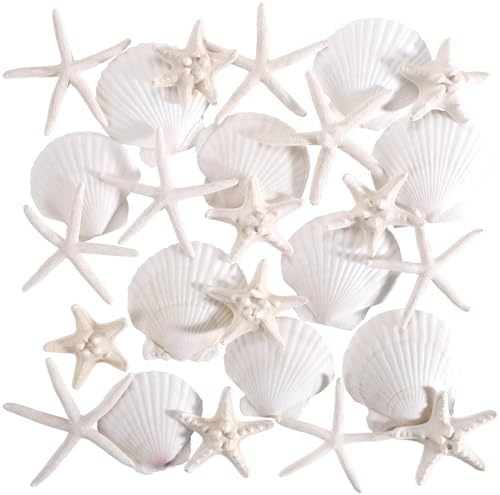 PPCLION 24 PCS Natural Starfish 2-4" and Scallop Shell for Crafts...