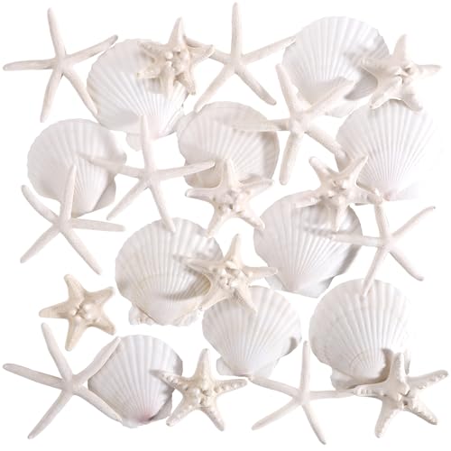 PPCLION 24 PCS Natural Starfish 2-4" and Scallop Shell for Crafts...