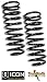 Icon 52700 Coil Spring, Rear