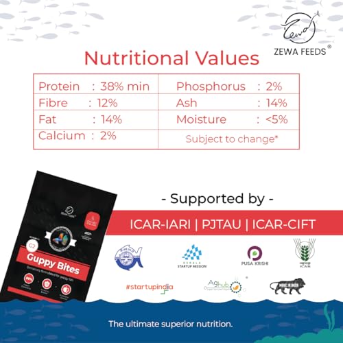 Image of Guppy Bites 1KG | High Protein Fish Food for Guppy & Small Fish | Micro Pellets 0.3-0.6 mm | 88% Digestibility | Rapid Growth & Vibrant Color