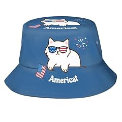 Usa Flag Cat