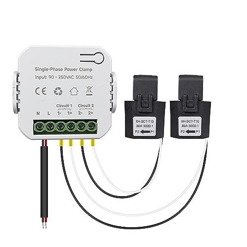 X}[gGlM[j^[ Tuya 80A PGlM[[^[ CT NvAv Kwh d̓j^[dCv 50/60Hz(Type 1 With 2pcs CT)