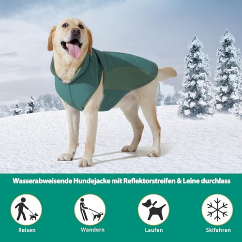 Poiinvc Winddichter Hundemantel Hundejacke mit Geschirrloch Reflektierend Warm und Wasserdicht für Hunde von S bis XXXL mit Elastischen Bündchen Ideal für Outdoor