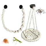 Jumping Spider Accessories, Hanging Rope Hammock - Terrarium Decoration of Spiders, for Breeding Lizards, Tree Frogs and Hermit Crabs in the Terrarium for Home