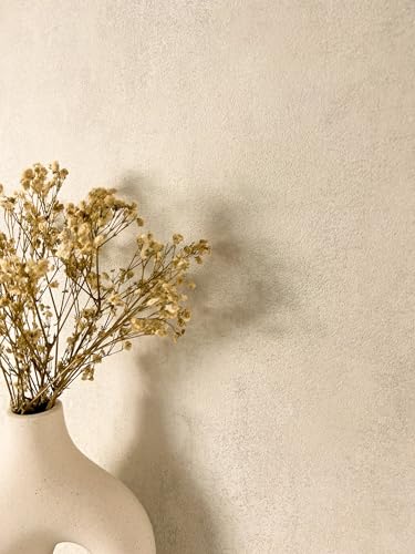 Newroom Carta da Parati Beige Tessuto Non Tessuto Effetto Intonaco - Moderna Industriale Struttura Tinta Unita per Soggiorno Camera da Letto