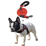 XIAO Arnés para Perros Sin Tirón Arnés Chaleco Frontal Arnés para Automóvil para Perros Manija Cofre Acolchado Ajustable Malla Reflectante Ligero Control Fácil Caminar Aire Libre,Rojo,S