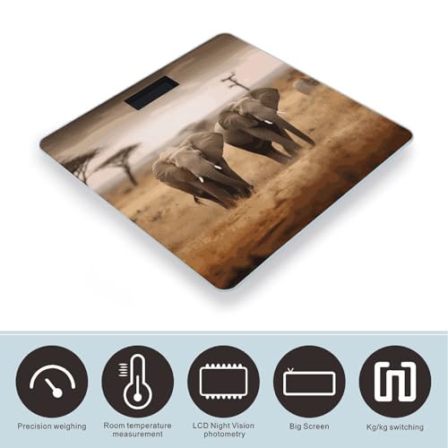 Báscula digital de baño con vidrio templado y pantalla LCD miniatura 3