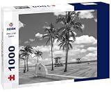 Noah Jigsaw Puzzle Downtown Columbia South Carolina Skyline SC Aerial Panorama in Black White 1000 Pieces