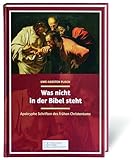 Was nicht in der Bibel steht: Apokryphe Schriften des frühen Christentums - Uwe-Karsten Plisch 