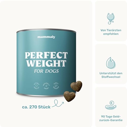11-in-1 L-Carnitin & Cellulose Snack - Gewichtsmanagement für Hunde - Perfect Weight 270 Snacks (325g) von mammaly - Diätfutter kann beim Abnehmen Hund helfen - Futterzellulose zur Gewichtskontrolle
