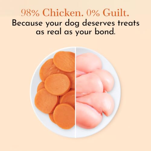Image of PETS EMPIRE O'Dog Chicken Circular Chips, Healthy Dog Treats, Chewy Dogs Bites for Training and Feeding, Made with Real Chicken, Non-Vegetarian Pup Snacks for Dogs, Puppies - 100g