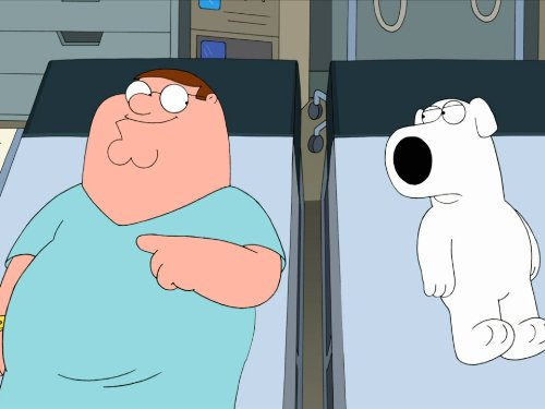 Watch Family Guy Season 9 | Prime Video