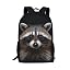 Raccoon Print