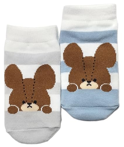 くまの絵本シリーズ ソックスセット（ベビー〜キッズ）