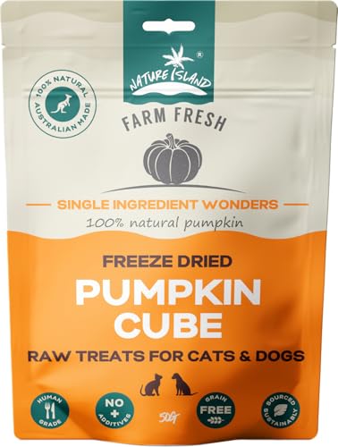 dog food pumpkin