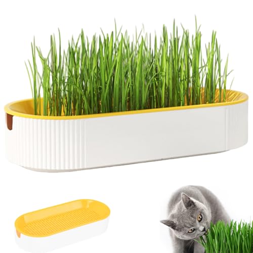 Hotainoys Macetero de Hierba para Gatos, macetas hidropónicas de Malla extraíble con Puerto de visualización del Nivel de Agua, Suministros para Gatos saludables y Seguros, no Incluye Semillas