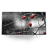 Paul Sinus Kunstdruck Bilder 120x60cm Wildrosen Gebüsch 