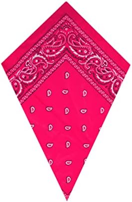 Paisley Bandana Head Scarf Headbands Handkerchief Cowboy Cotton Bib Party Face Covering Headwear For Motorcycling Mens Womens Unisex