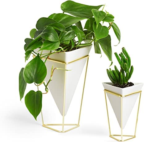 See full amazon price history chart for RICHIES ENTERPRISES - Golden Wire Stand with White Planter Pot Indoor Outdoor Home & Decor (Pack of 2) RICHIES ENTERPRISES - Golden Wire Stand with White Planter Pot Indoor Outdoor Home & Decor (Pack of 2) (B0C5RWNDXD) Amazon Price History, Amazon Price Tracker