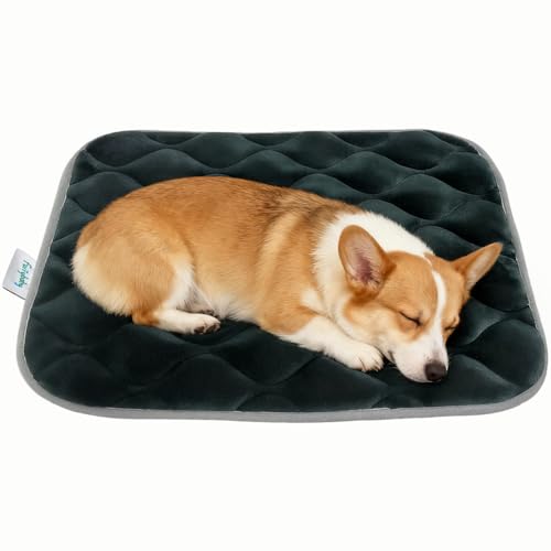 furrybaby Dog Crate Pad for Dog Cages Flat Crate Mat Kennel Pad with Anti-Slip Bottom Machine...