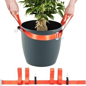 Hebegurt für Topfpflanzen Tragegurte Umzug Pflanzgefäß Pflanzkübel Transportgurte Lifting Straps Tragehilfe für Schwere Lasten Möbel Transport von Blumentöpfen Garten Steinen (B)