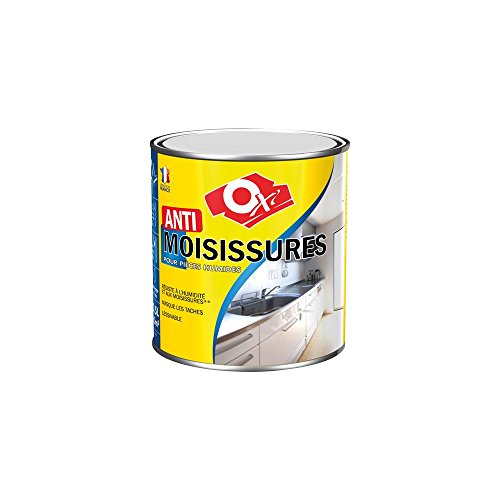 Peinture Anti-Moisissure 0.5L