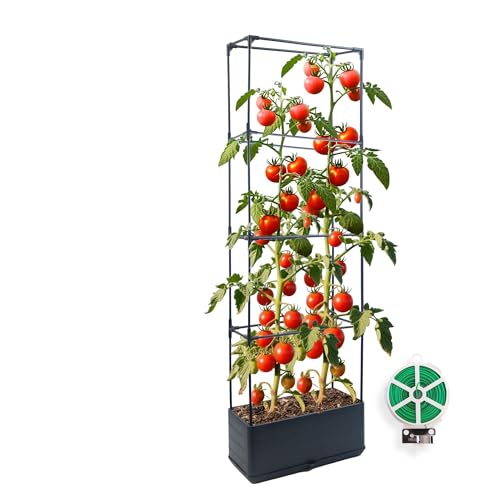 CHEOAR 1 Packs raised beds for garden planter with trellis 55.2 self watering tomato planters with Trapezoidal Trellis for Climbing Plants Tomato Pot Flowers Vegetable Planters Outdoor Planter Box