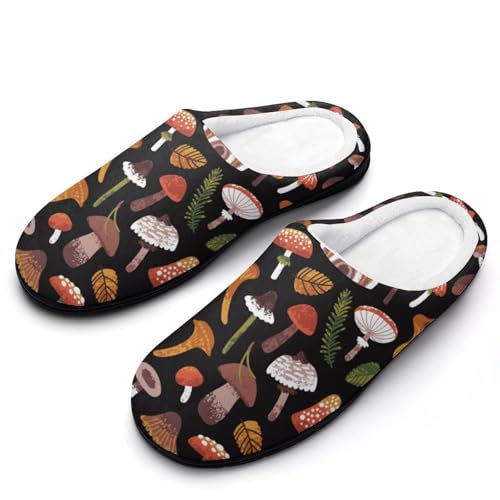 [ZKCASA] Xbp ̂ LmR  [V[Y   qp h  g 􂦂 ~ jp I[V[Yp 7-8i40-41j