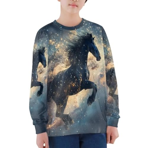 Pinupub Kids Animal Graphic Sweatshirt Boy Girl Winter Long Sleeve Crew Neck Casual Pullover Sweater3