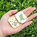 XBEGIX Micro Flower Press Kit - Mini Flower Press for DIY Arts & Crafts, Preservation Kit for Pressing Plants