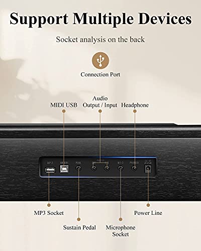 image for Keyboard Piano, Eastar 61 Key Keyboard for Beginners/Professional, Ful
